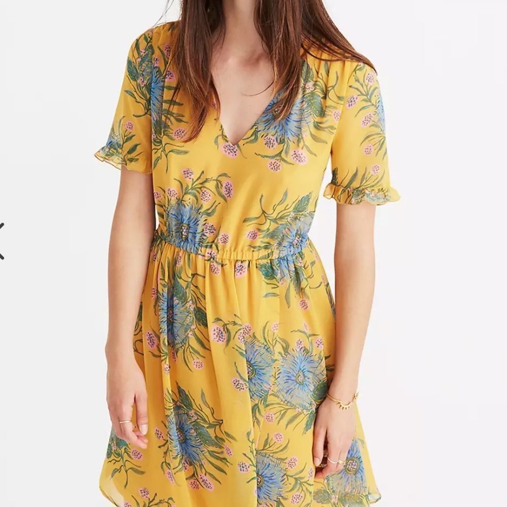 Madewell Sweetgrass Ruffle Sleeve Dress